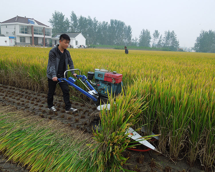 小型農(nóng)用水稻收割機
