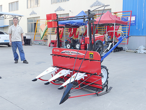 玉米秸稈割曬機(jī)-小型收割機(jī)廠家